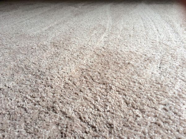 Plush Carpet Installation in Redmond