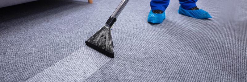 Specialized Carpet Cleaning Businesses